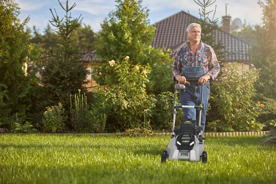 self propelled lawn mower